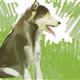 http://art.5d.cn/Arts/1035/3802/28225.gif