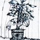 http://art.5d.cn/Arts/117918/6268/52068.gif