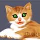http://art.5d.cn/Arts/141641/5764/46592.gif