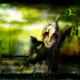 http://art.5d.cn/Arts/143813/2882/17360.gif