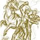 http://art.5d.cn/Arts/149638/6115/50230.gif