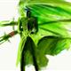http://art.5d.cn/Arts/158337/5383/42717.gif