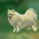http://art.5d.cn/Arts/160016/5319/44812.gif