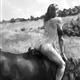 http://art.5d.cn/Arts/16444/5348/43504.gif