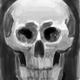 http://art.5d.cn/Arts/172733/4439/35723.gif