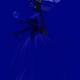 http://art.5d.cn/Arts/176233/4838/44608.gif