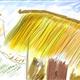 http://art.5d.cn/Arts/182270/2536/14001.gif