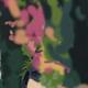 http://art.5d.cn/Arts/199076/6351/53048.gif