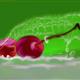 http://art.5d.cn/Arts/200331/6165/50957.gif