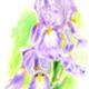 http://art.5d.cn/Arts/214315/5648/50986.gif