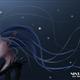 http://art.5d.cn/Arts/21642/3120/20523.gif