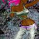 http://art.5d.cn/Arts/216942/5999/48847.gif