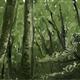 http://art.5d.cn/Arts/219624/4188/33666.gif