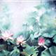 http://art.5d.cn/Arts/226456/2497/14034.gif