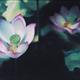 http://art.5d.cn/Arts/226456/2497/14035.gif