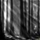 http://art.5d.cn/Arts/226456/2497/16763.gif