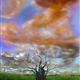 http://art.5d.cn/Arts/226456/2497/21475.gif