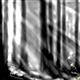 http://art.5d.cn/Arts/226456/2497/23067.gif
