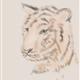 http://art.5d.cn/Arts/24873/5351/42217.gif