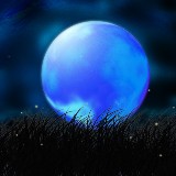http://art.5d.cn/Arts/256387/12153/86008.gif