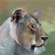 http://art.5d.cn/Arts/259228/6769/61650.gif