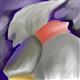 http://art.5d.cn/Arts/25995/3358/25496.gif