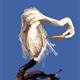 http://art.5d.cn/Arts/265811/4718/34537.gif