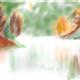 http://art.5d.cn/Arts/277029/4510/32400.gif