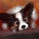 http://art.5d.cn/Arts/28606/4182/29369.gif