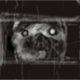 http://art.5d.cn/Arts/293301/7844/66673.gif