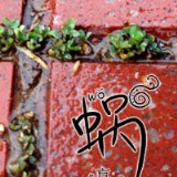 http://art.5d.cn/Arts/301313/10240/76018.gif