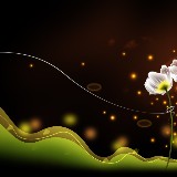 http://art.5d.cn/Arts/302346/8219/67761.gif