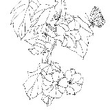http://art.5d.cn/Arts/303588/8402/68392.gif