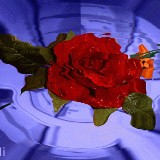 http://art.5d.cn/Arts/306190/8766/69816.gif