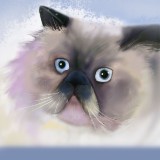 http://art.5d.cn/Arts/307129/9166/71094.gif