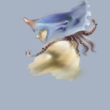 http://art.5d.cn/Arts/314775/10114/76286.gif