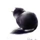 http://art.5d.cn/Arts/31779/4919/62538.gif
