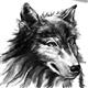 http://art.5d.cn/Arts/31779/4919/62861.gif