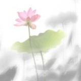 http://art.5d.cn/Arts/317938/10750/78826.gif