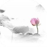 http://art.5d.cn/Arts/317938/10750/78921.gif