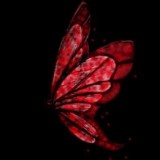 http://art.5d.cn/Arts/320712/11745/86623.gif