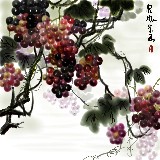 http://art.5d.cn/Arts/320797/11265/81352.gif