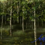 http://art.5d.cn/Arts/320797/11266/81229.gif