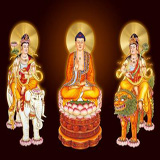 http://art.5d.cn/Arts/320820/11271/81249.gif