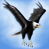 http://art.5d.cn/Arts/322539/11740/83470.gif
