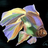 http://art.5d.cn/Arts/322636/11593/82786.gif