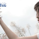 http://art.5d.cn/Arts/324251/11944/84840.gif