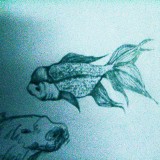 http://art.5d.cn/Arts/326173/12385/87662.gif