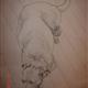 http://art.5d.cn/Arts/33088/5696/45641.gif