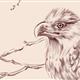 http://art.5d.cn/Arts/39126/4147/37263.gif